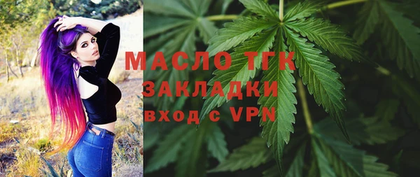 МДПВ Вяземский